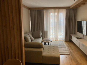 Apartment 333 Aparthotel Vučko Jahorina private host